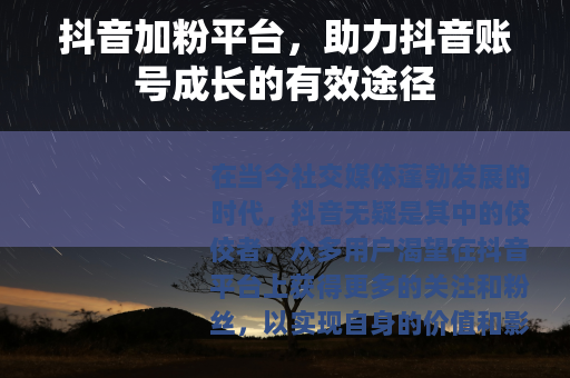 抖音加粉平台，助力抖音账号成长的有效途径