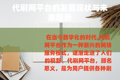代刷网平台的发展现状与未来趋势