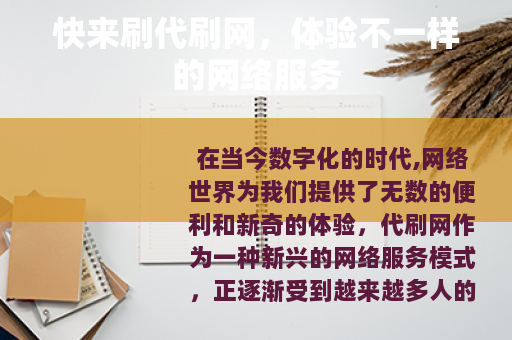 快来刷代刷网，体验不一样的网络服务
