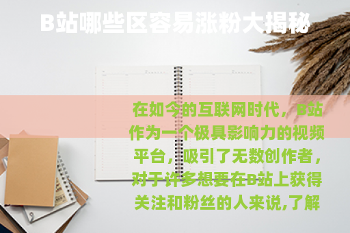 B站哪些区容易涨粉大揭秘