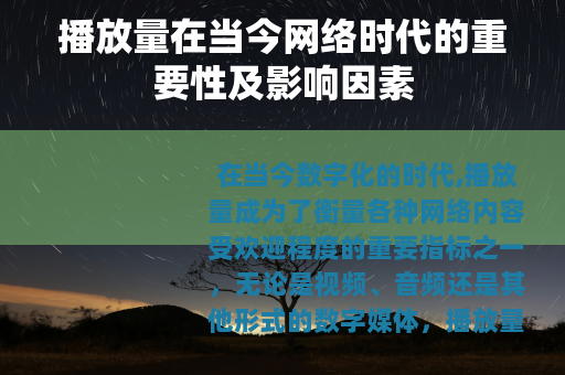 播放量在当今网络时代的重要性及影响因素