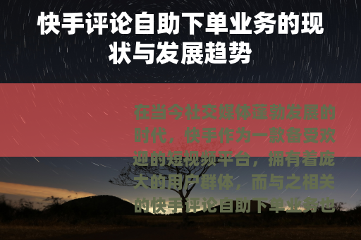 快手评论自助下单业务的现状与发展趋势