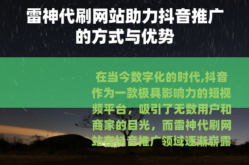 雷神代刷网站助力抖音推广的方式与优势
