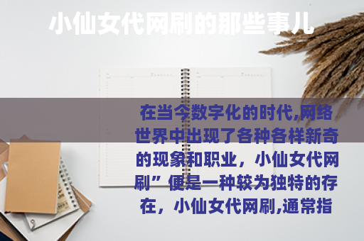 小仙女代网刷的那些事儿