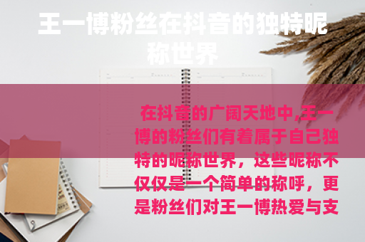 王一博粉丝在抖音的独特昵称世界