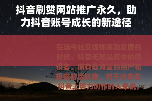 抖音刷赞网站推广永久，助力抖音账号成长的新途径