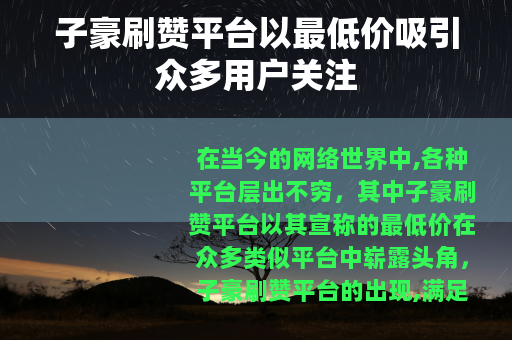 子豪刷赞平台以最低价吸引众多用户关注
