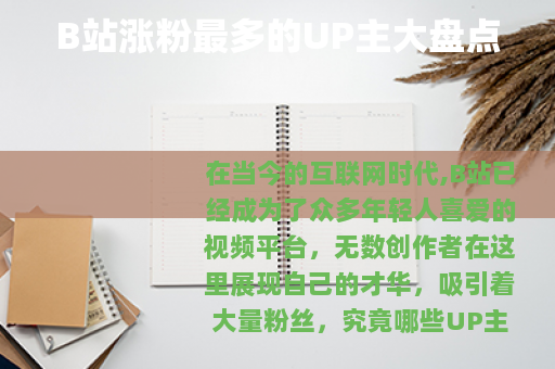 B站涨粉最多的UP主大盘点