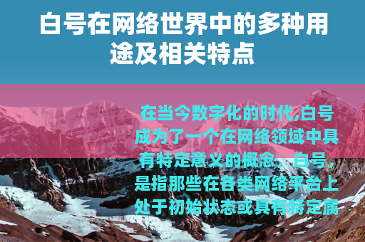 白号在网络世界中的多种用途及相关特点