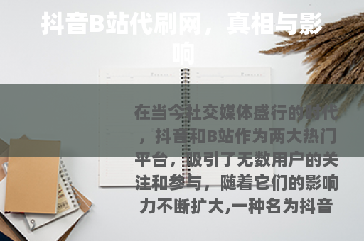 抖音B站代刷网，真相与影响