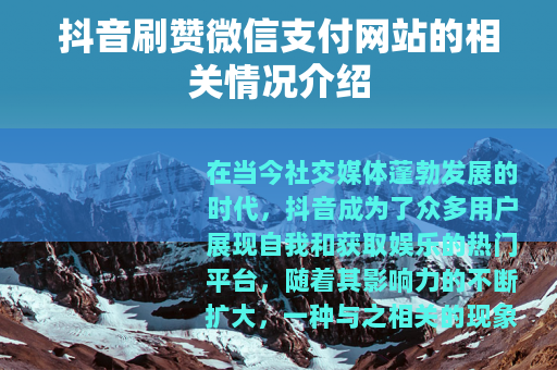 抖音刷赞微信支付网站的相关情况介绍