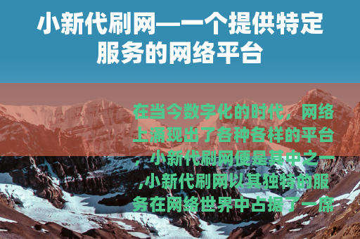 小新代刷网—一个提供特定服务的网络平台