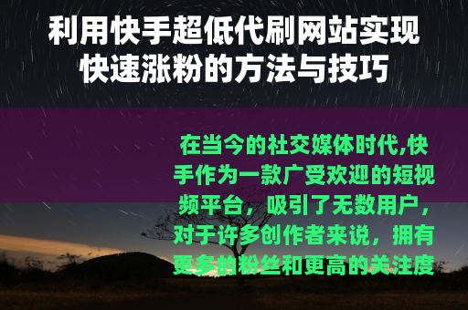 利用快手超低代刷网站实现快速涨粉的方法与技巧