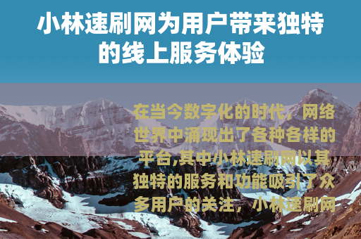 小林速刷网为用户带来独特的线上服务体验
