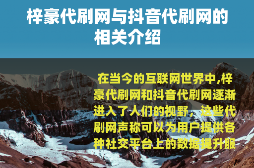 梓豪代刷网与抖音代刷网的相关介绍