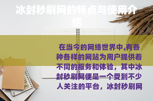 冰封秒刷网的特点与使用介绍