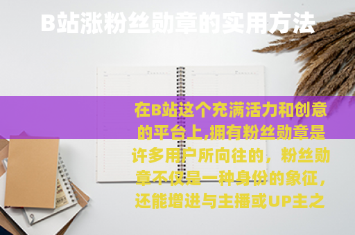 B站涨粉丝勋章的实用方法