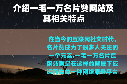 介绍一毛一万名片赞网站及其相关特点