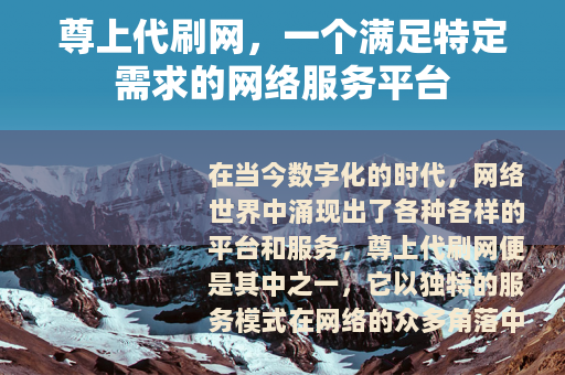 尊上代刷网，一个满足特定需求的网络服务平台