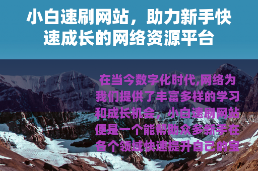 小白速刷网站，助力新手快速成长的网络资源平台