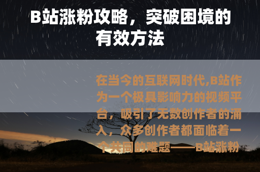 B站涨粉攻略，突破困境的有效方法