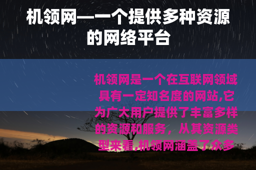 机领网—一个提供多种资源的网络平台