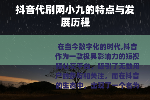抖音代刷网小九的特点与发展历程
