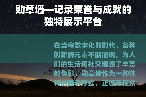 勋章墙—记录荣誉与成就的独特展示平台
