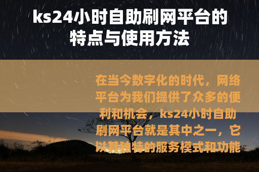 ks24小时自助刷网平台的特点与使用方法