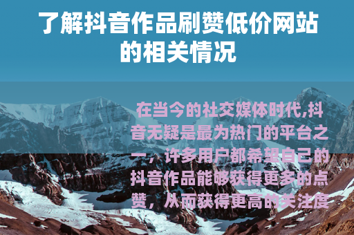 了解抖音作品刷赞低价网站的相关情况