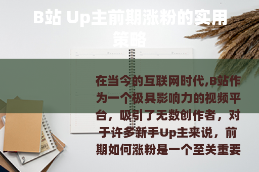 B站 Up主前期涨粉的实用策略