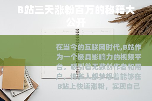 B站三天涨粉百万的秘籍大公开