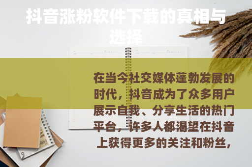 抖音涨粉软件下载的真相与选择