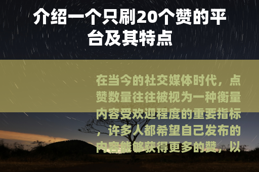 介绍一个只刷20个赞的平台及其特点