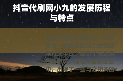 抖音代刷网小九的发展历程与特点