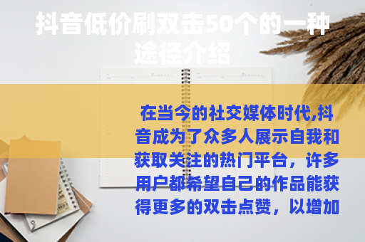 抖音低价刷双击50个的一种途径介绍