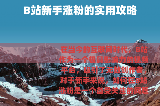 B站新手涨粉的实用攻略