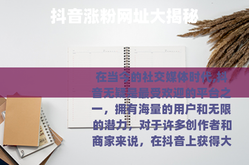 抖音涨粉网址大揭秘