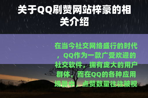 关于QQ刷赞网站梓豪的相关介绍