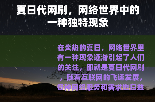 夏日代网刷，网络世界中的一种独特现象
