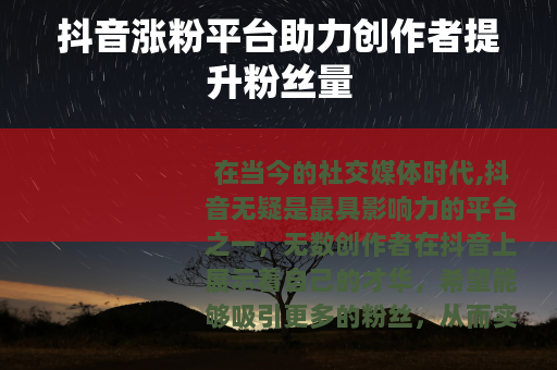 抖音涨粉平台助力创作者提升粉丝量