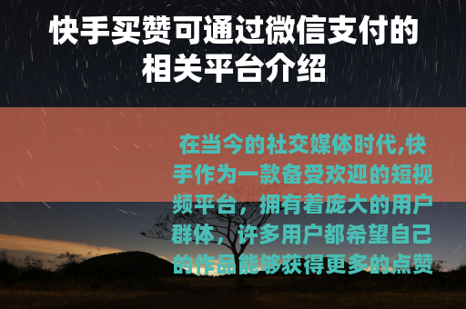 快手买赞可通过微信支付的相关平台介绍