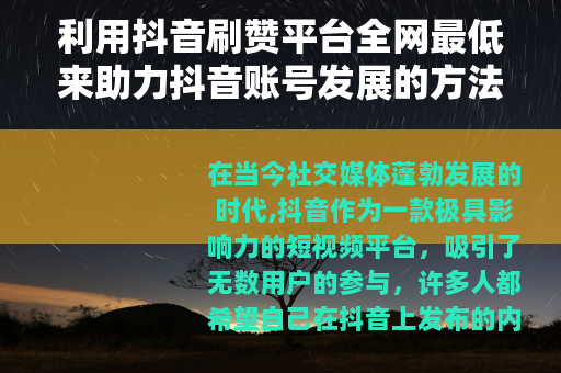 利用抖音刷赞平台全网最低来助力抖音账号发展的方法