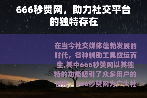 666秒赞网，助力社交平台的独特存在