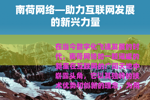 南荷网络—助力互联网发展的新兴力量