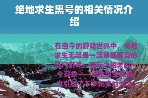 绝地求生黑号的相关情况介绍
