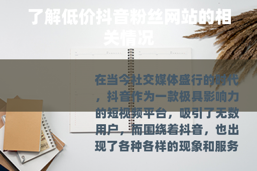了解低价抖音粉丝网站的相关情况