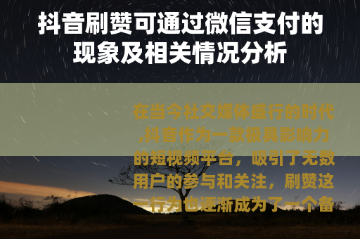 抖音刷赞可通过微信支付的现象及相关情况分析