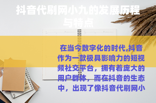 抖音代刷网小九的发展历程与特点