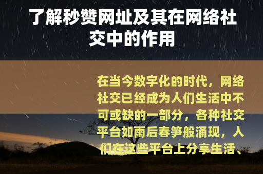 了解秒赞网址及其在网络社交中的作用